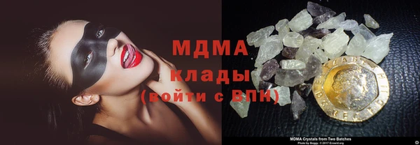 прущие грибы Баксан