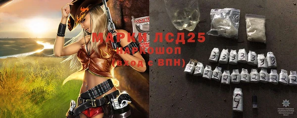 прущие грибы Баксан
