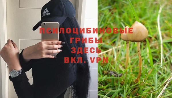 эйфоретик Арсеньев