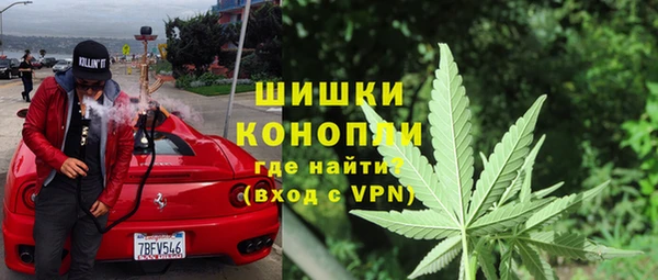 прущие грибы Баксан