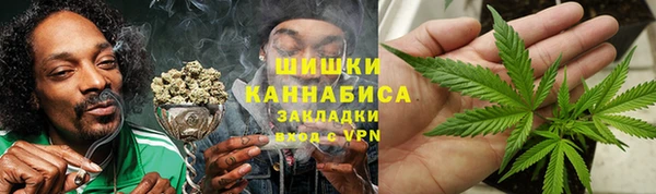 прущие грибы Баксан