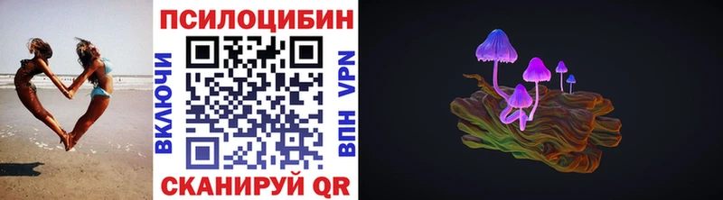 ссылка на мегу ссылки  Междуреченск  Псилоцибиновые грибы Psilocybe  купить наркоту 