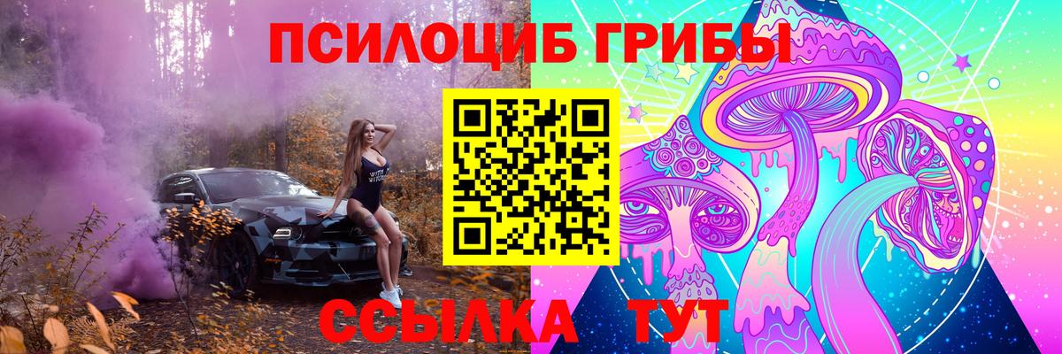 Междуреченск  Псилоцибиновые грибы мухоморы  Вход с VPN 