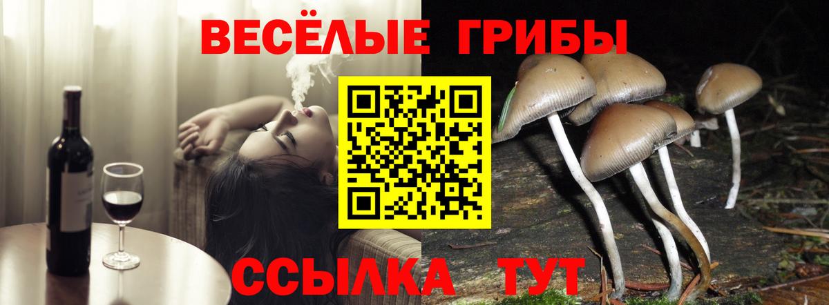 Междуреченск  ГАШ  КОКАИН  Вход с VPN  Каннабис  МЕФ кристаллы 