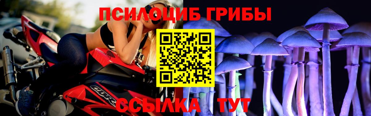 Галлюциногенные грибы MAGIC MUSHROOMS Междуреченск